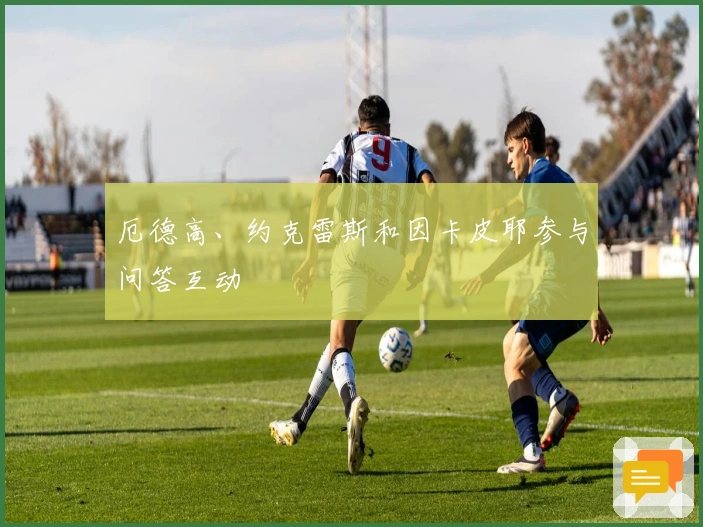 厄德高、约克雷斯和因卡皮耶参与问答互动